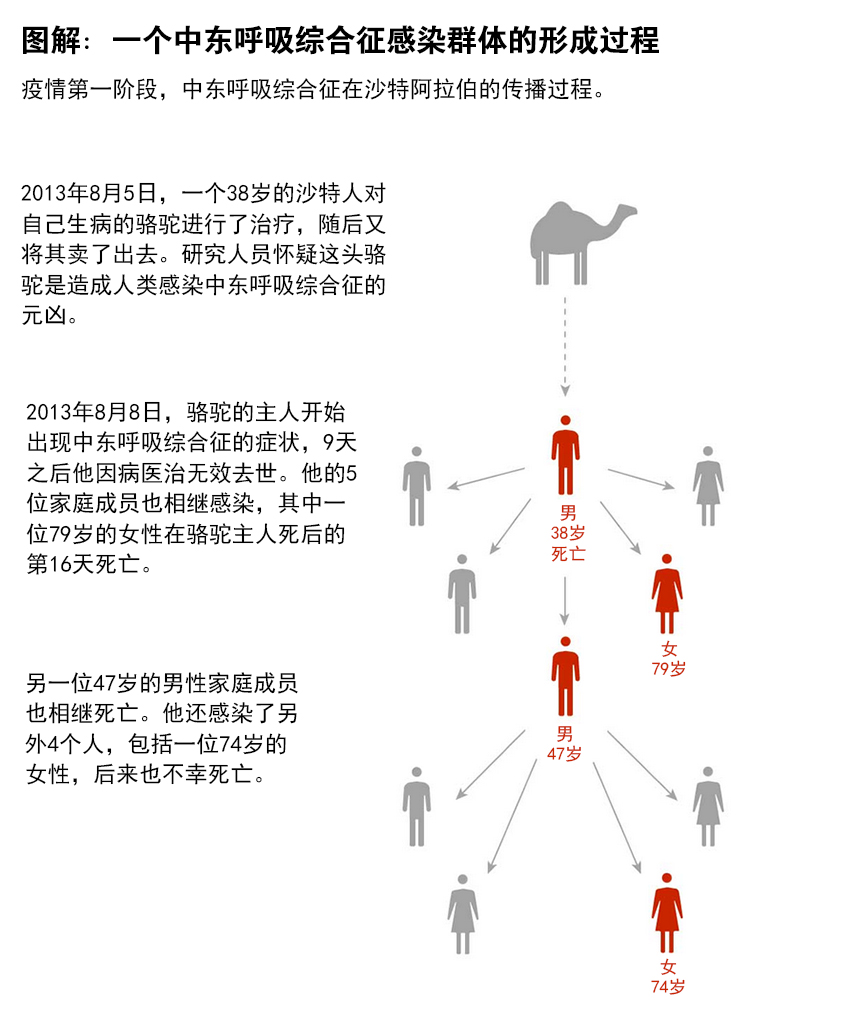 疫情来袭：关于中东呼吸综合症你不可不知的那些事