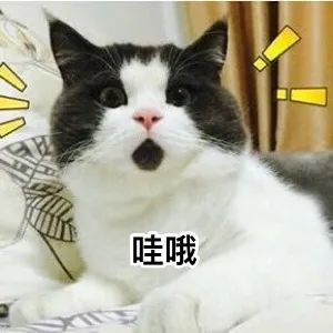 c0eAzSb90Ls2PGmszGknoSgwFfBQ2N2p.jpeg